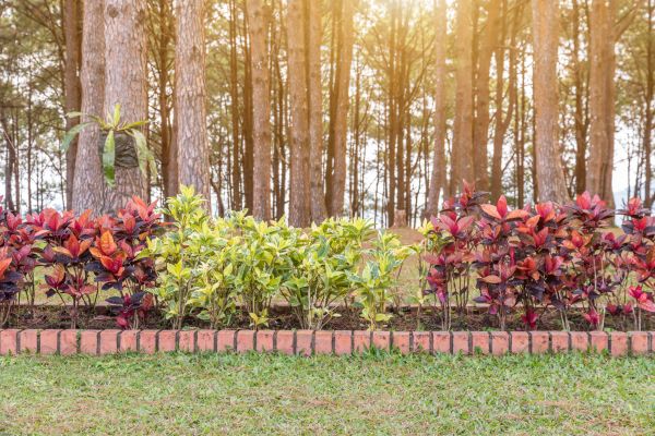 Small Garden Landscaping in Broomfield