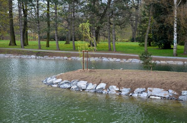 Pond Landscaping Service in Broomfield