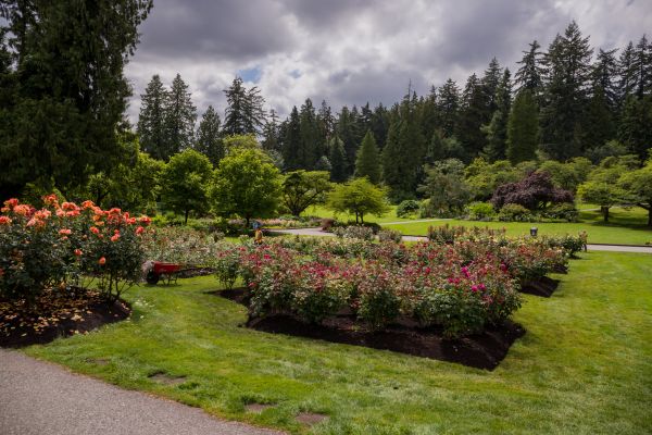 Flower Garden Landscaping in Broomfield