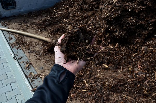 Condo Mulching in Broomfield