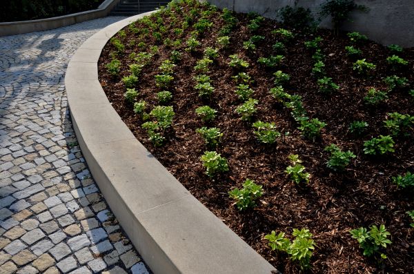 Commercial Mulching in Broomfield