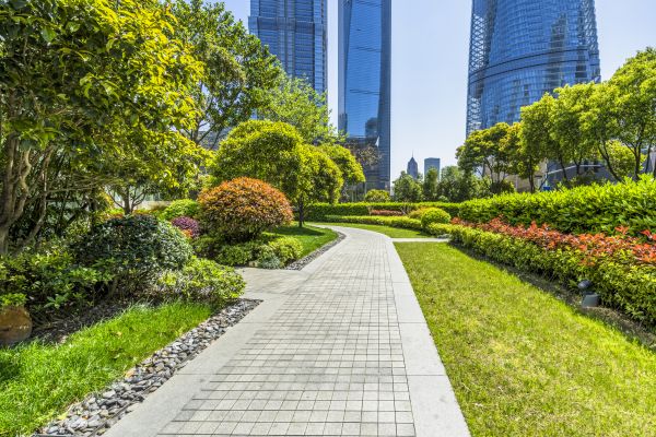 Commercial Landscaping in Broomfield